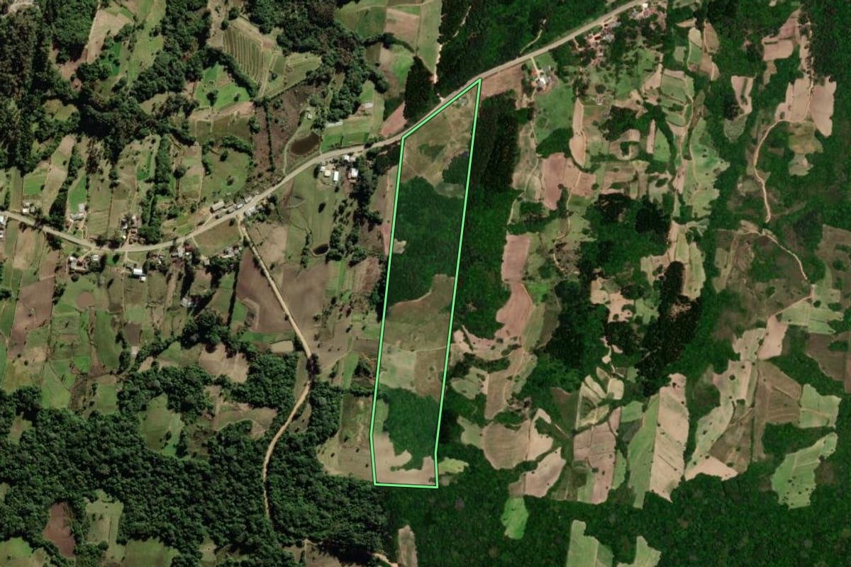 Imagem de satélite do imóvel rural em São Lourenço do Sul (RS), com o contorno declarado no CAR desenhado por cima.