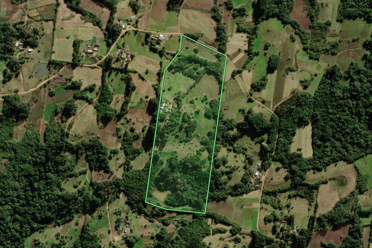 Imagem de satélite do imóvel rural em São Lourenço do Sul (RS), com o contorno declarado no CAR desenhado por cima.