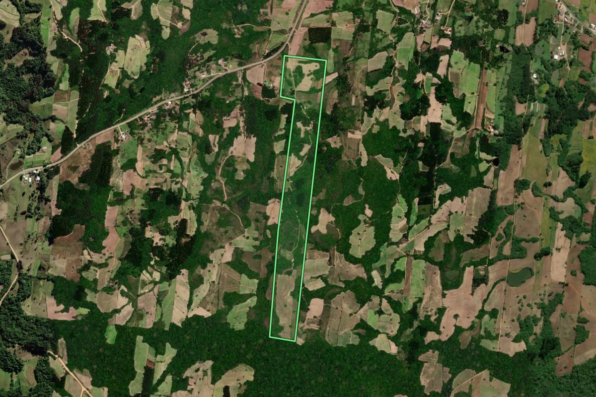 Imagem de satélite do imóvel rural em São Lourenço do Sul (RS), com o contorno declarado no CAR desenhado por cima.
