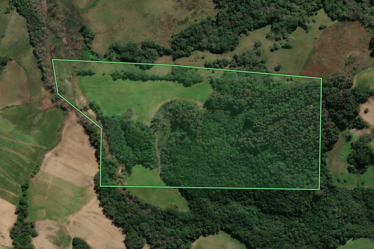 Imagem de satélite do imóvel rural em São Lourenço do Sul (RS), com o contorno declarado no CAR desenhado por cima.