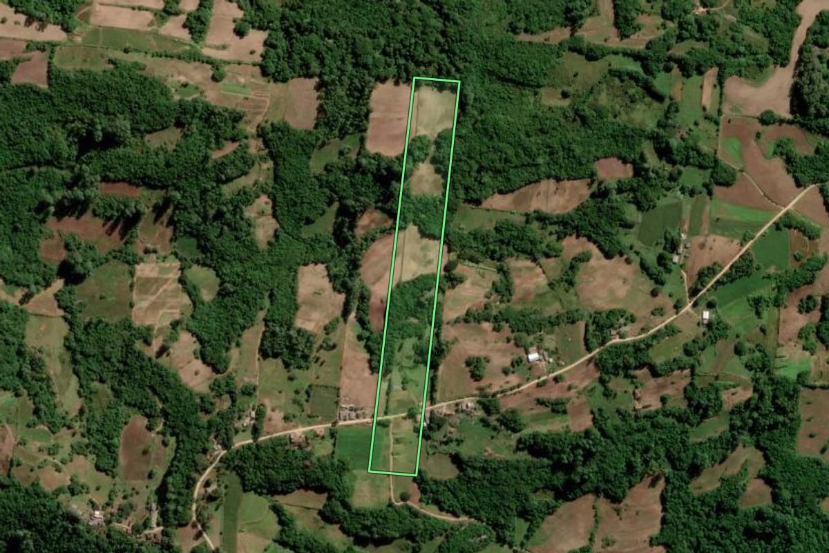 Imagem de satélite do imóvel rural em São Lourenço do Sul (RS), com o contorno declarado no CAR desenhado por cima.