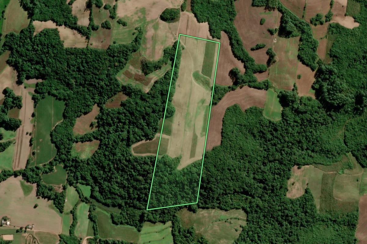 Imagem de satélite do imóvel rural em São Lourenço do Sul (RS), com o contorno declarado no CAR desenhado por cima.