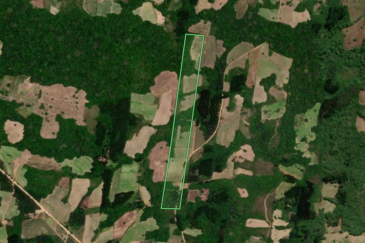 Imagem de satélite do imóvel rural em São Lourenço do Sul (RS), com o contorno declarado no CAR desenhado por cima.