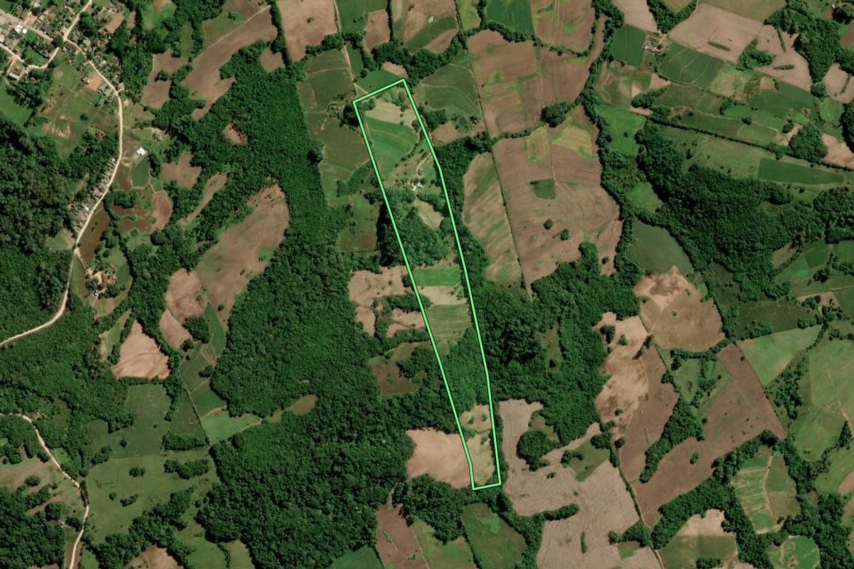 Imagem de satélite do imóvel rural em São Lourenço do Sul (RS), com o contorno declarado no CAR desenhado por cima.