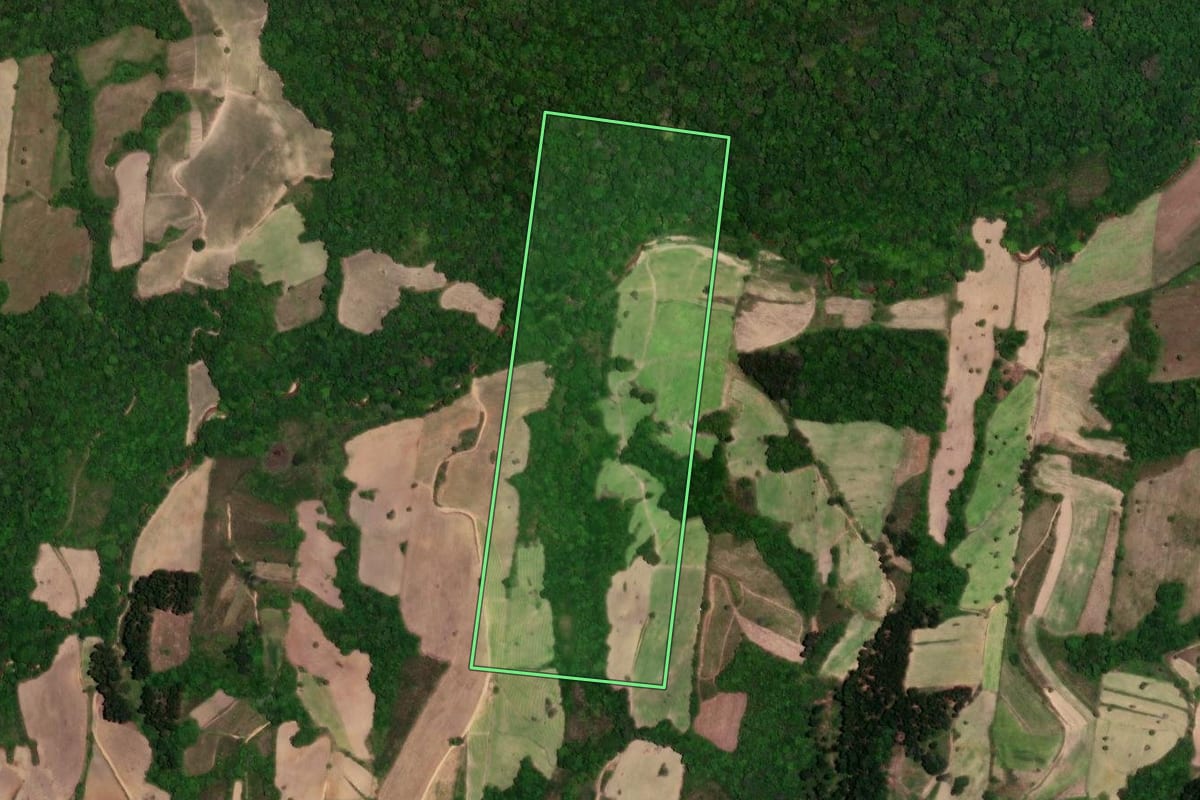 Imagem de satélite do imóvel rural em São Lourenço do Sul (RS), com o contorno declarado no CAR desenhado por cima.
