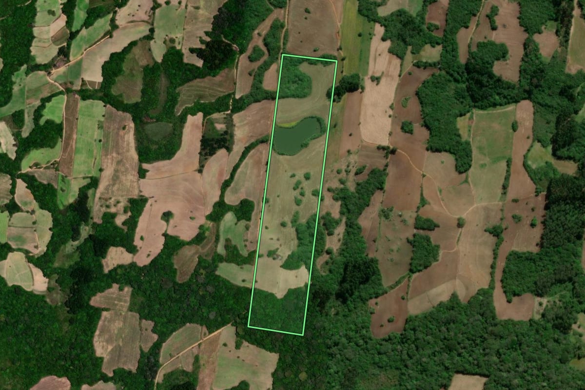 Imagem de satélite do imóvel rural em São Lourenço do Sul (RS), com o contorno declarado no CAR desenhado por cima.