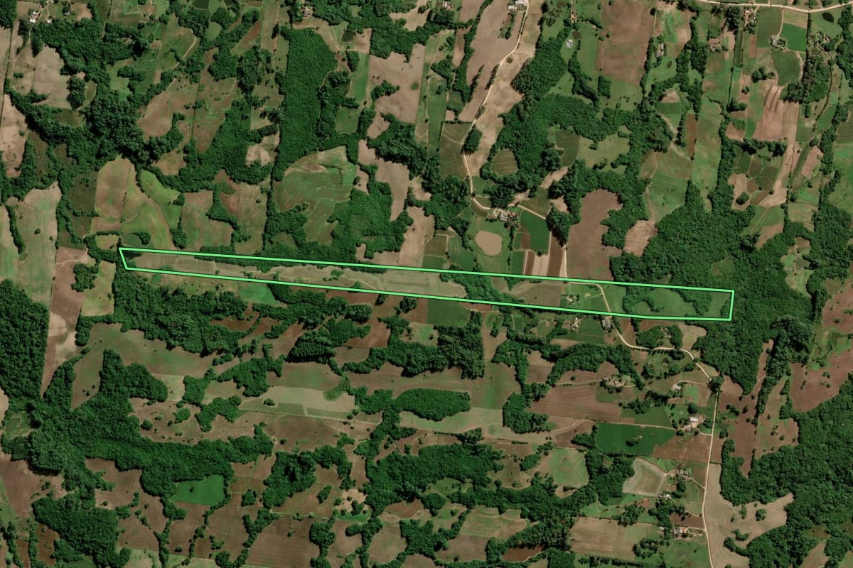 Imagem de satélite do imóvel rural em São Lourenço do Sul (RS), com o contorno declarado no CAR desenhado por cima.