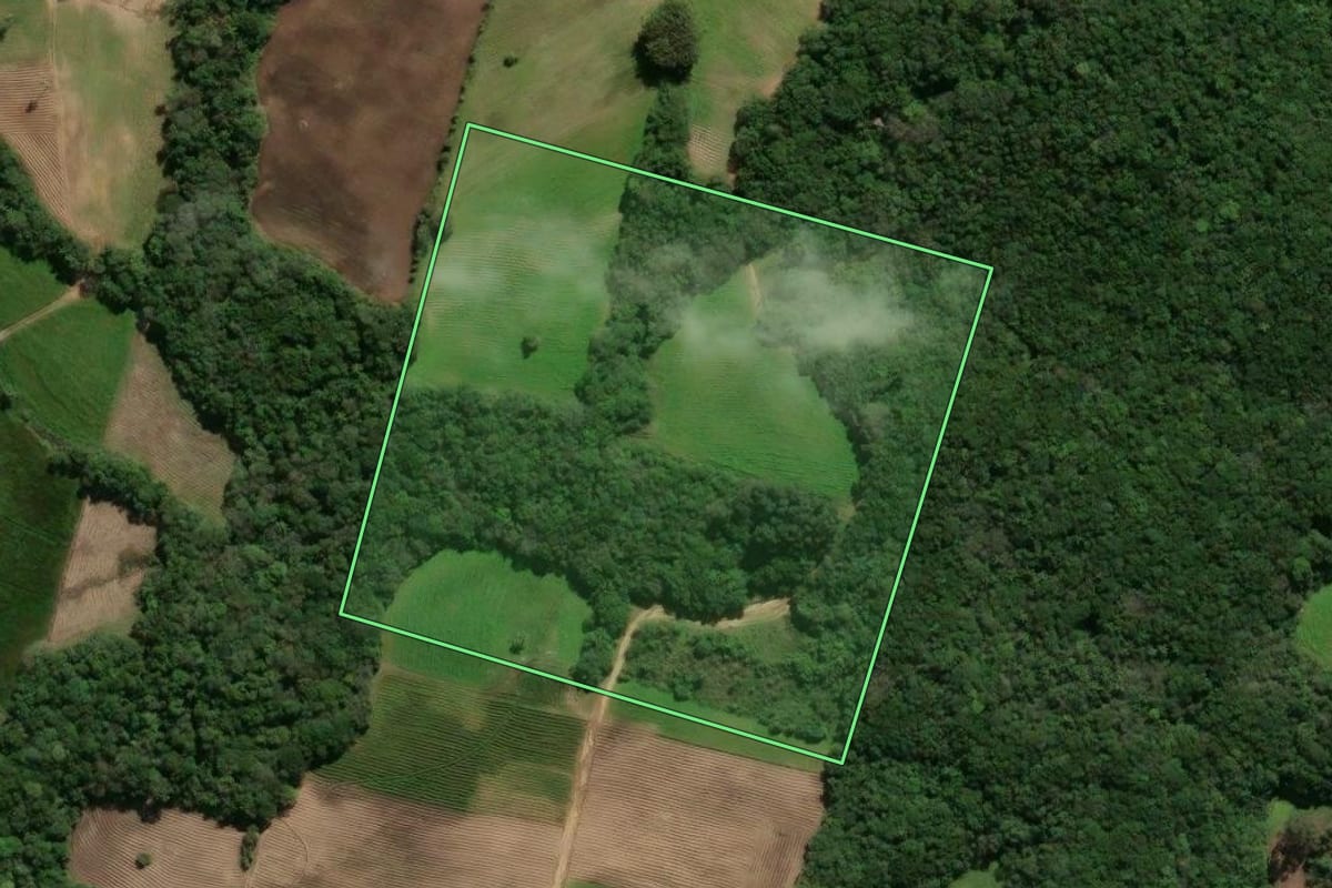 Imagem de satélite do imóvel rural em São Lourenço do Sul (RS), com o contorno declarado no CAR desenhado por cima.