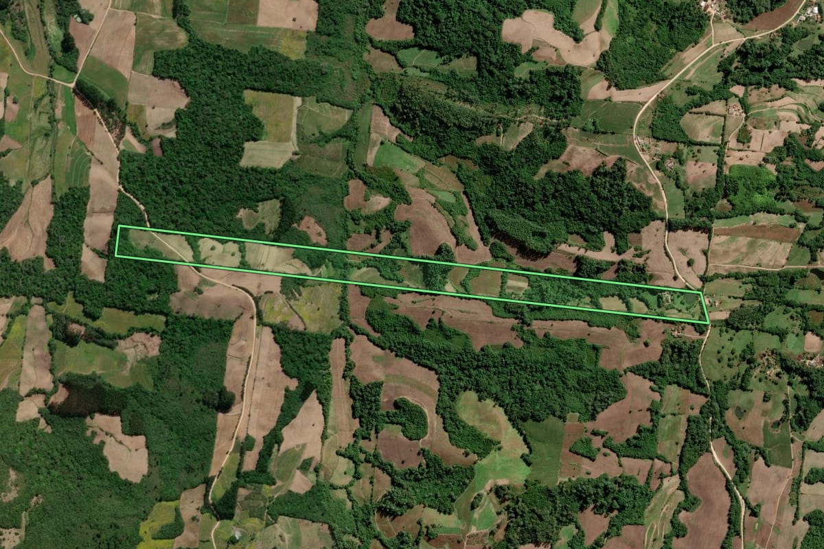 Imagem de satélite do imóvel rural em São Lourenço do Sul (RS), com o contorno declarado no CAR desenhado por cima.