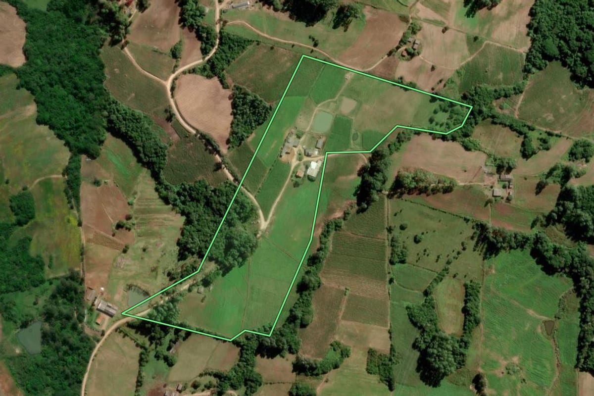 Imagem de satélite do imóvel rural em São Lourenço do Sul (RS), com o contorno declarado no CAR desenhado por cima.