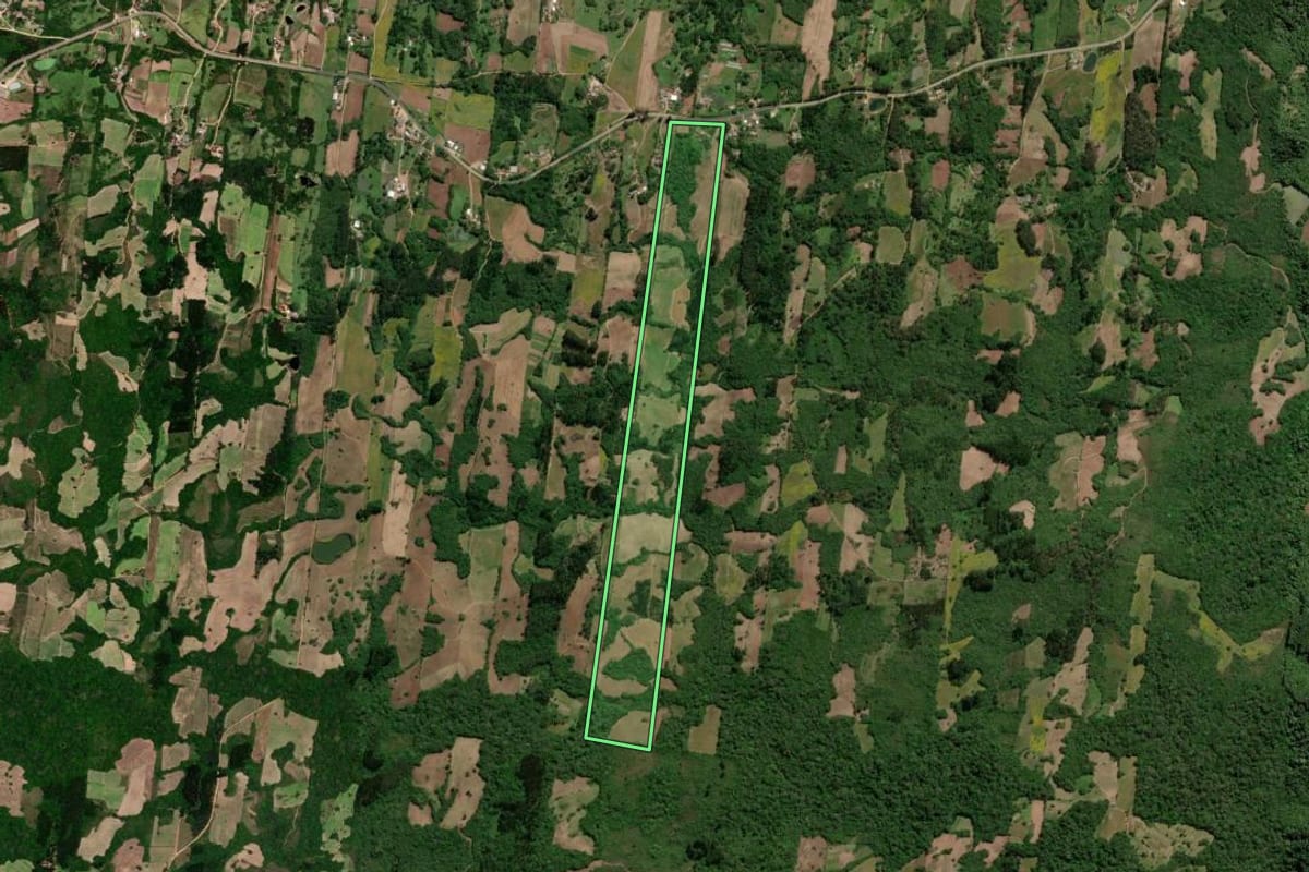 Imagem de satélite do imóvel rural em São Lourenço do Sul (RS), com o contorno declarado no CAR desenhado por cima.