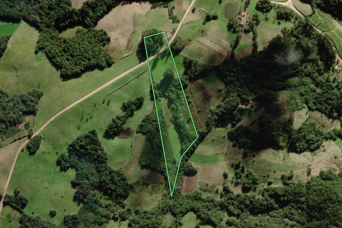 Imagem de satélite do imóvel rural em São Lourenço do Sul (RS), com o contorno declarado no CAR desenhado por cima.