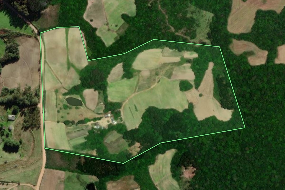Imagem de satélite do imóvel rural em São Lourenço do Sul (RS), com o contorno declarado no CAR desenhado por cima.