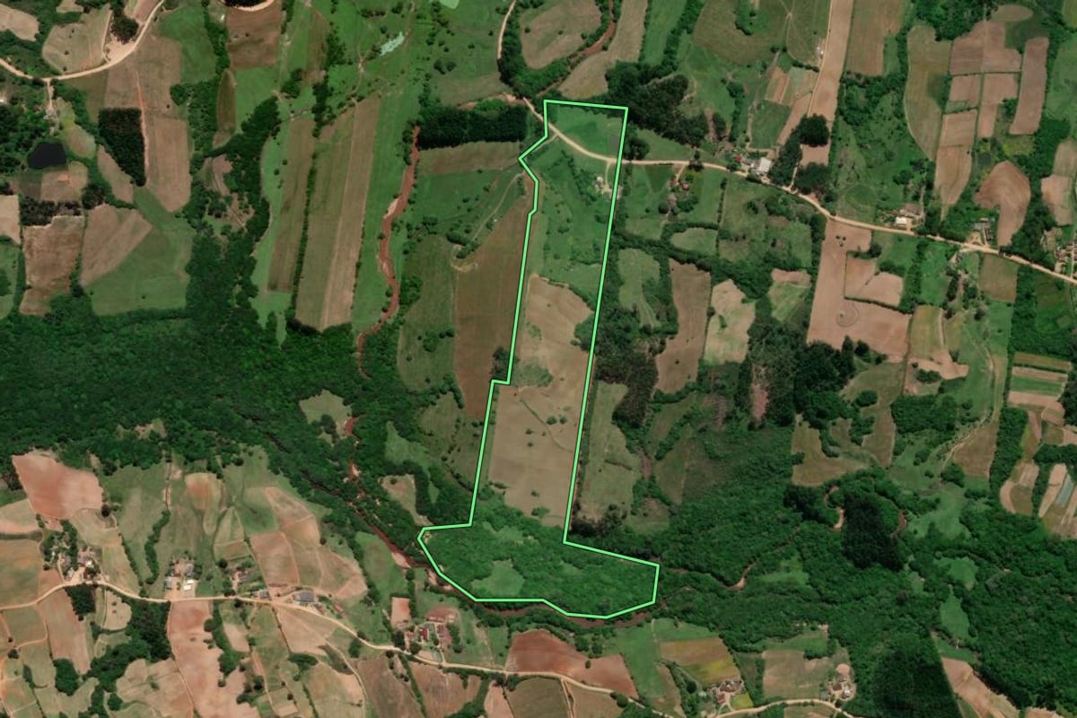 Imagem de satélite do imóvel rural em São Lourenço do Sul (RS), com o contorno declarado no CAR desenhado por cima.