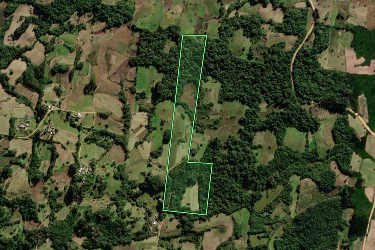 Imagem de satélite do imóvel rural em São Lourenço do Sul (RS), com o contorno declarado no CAR desenhado por cima.