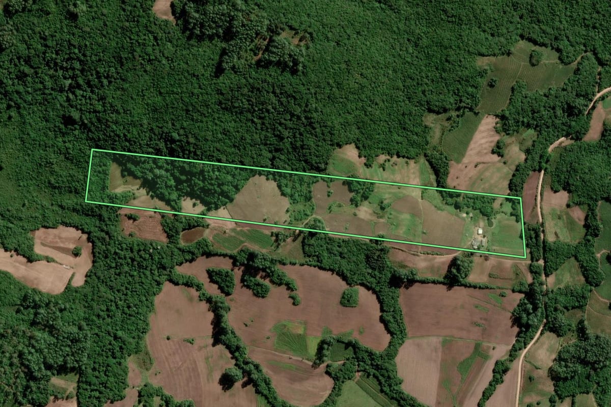 Imagem de satélite do imóvel rural em São Lourenço do Sul (RS), com o contorno declarado no CAR desenhado por cima.