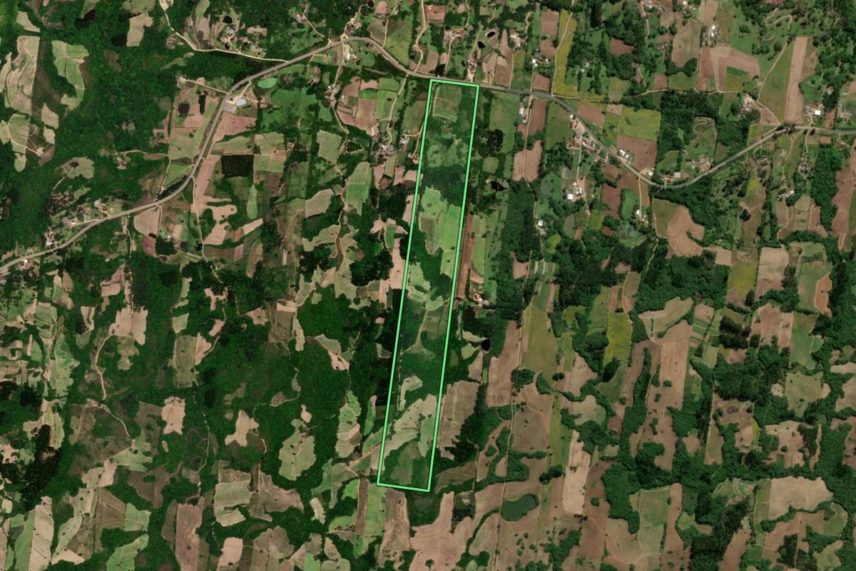 Imagem de satélite do imóvel rural em São Lourenço do Sul (RS), com o contorno declarado no CAR desenhado por cima.