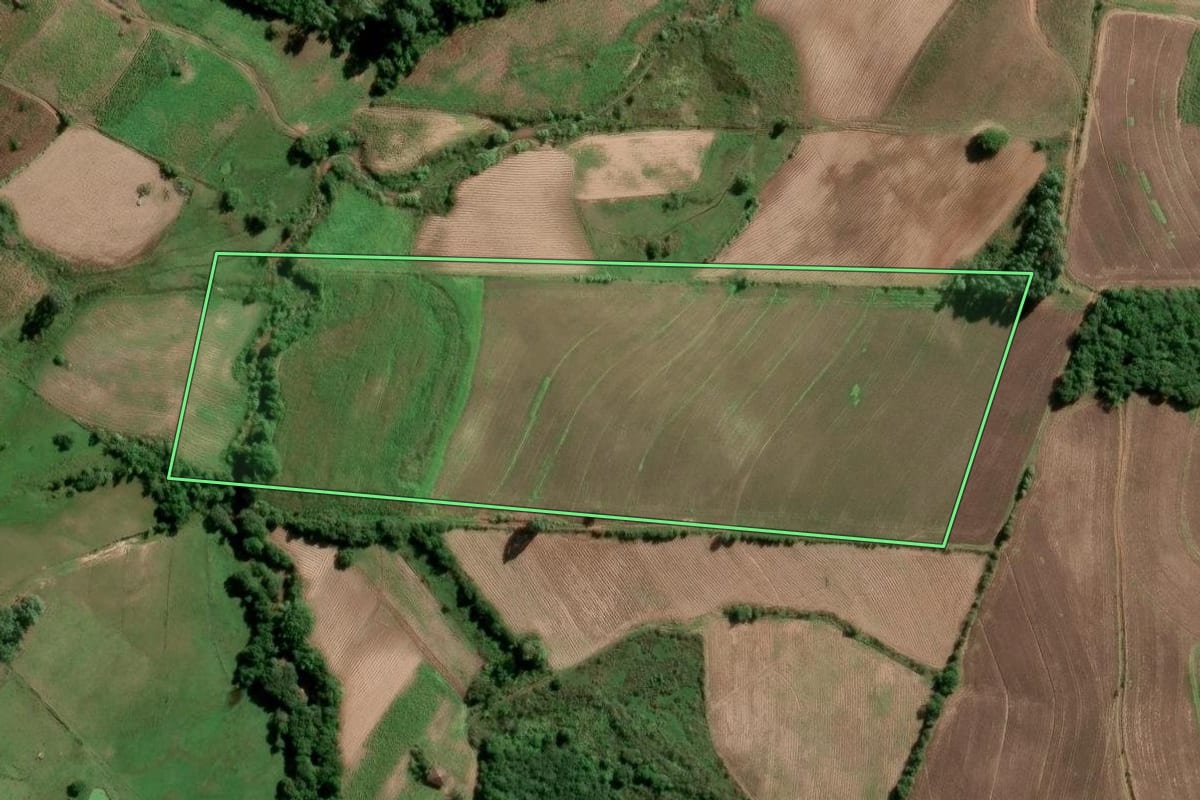 Imagem de satélite do imóvel rural em São Lourenço do Sul (RS), com o contorno declarado no CAR desenhado por cima.