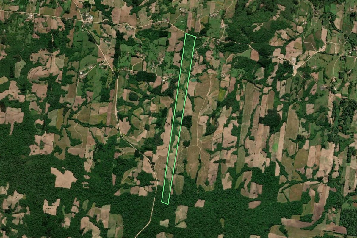 Imagem de satélite do imóvel rural em São Lourenço do Sul (RS), com o contorno declarado no CAR desenhado por cima.