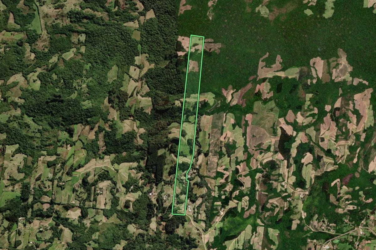 Imagem de satélite do imóvel rural em São Lourenço do Sul (RS), com o contorno declarado no CAR desenhado por cima.