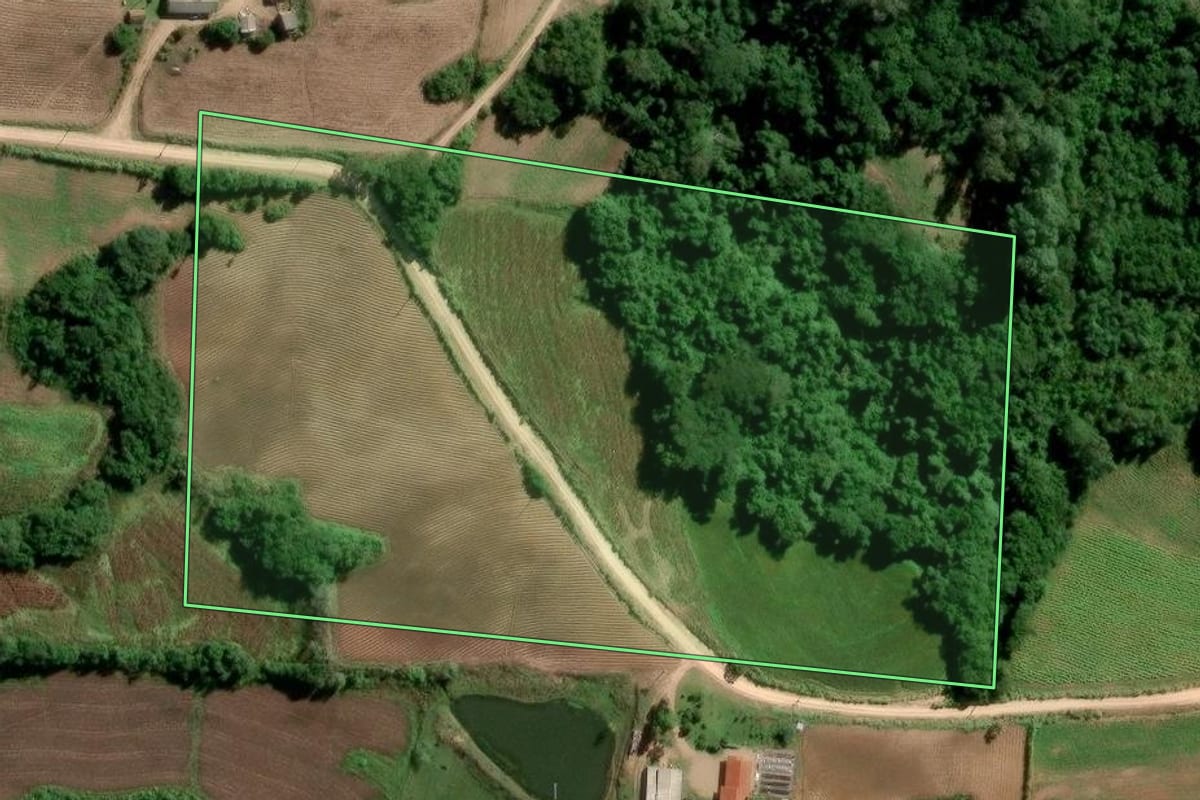 Imagem de satélite do imóvel rural em São Lourenço do Sul (RS), com o contorno declarado no CAR desenhado por cima.