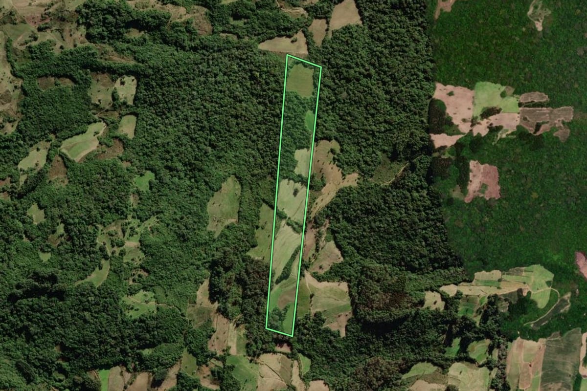 Imagem de satélite do imóvel rural em São Lourenço do Sul (RS), com o contorno declarado no CAR desenhado por cima.