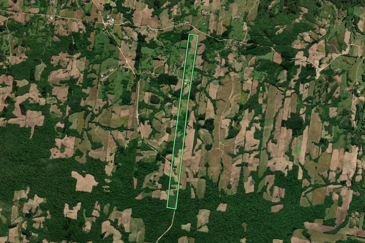 Imagem de satélite do imóvel rural em São Lourenço do Sul (RS), com o contorno declarado no CAR desenhado por cima.