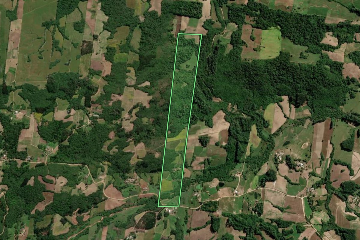 Imagem de satélite do imóvel rural em São Lourenço do Sul (RS), com o contorno declarado no CAR desenhado por cima.