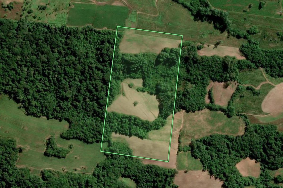 Imagem de satélite do imóvel rural em São Lourenço do Sul (RS), com o contorno declarado no CAR desenhado por cima.