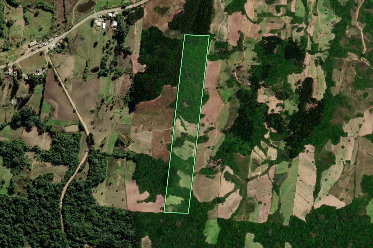 Imagem de satélite do imóvel rural em São Lourenço do Sul (RS), com o contorno declarado no CAR desenhado por cima.