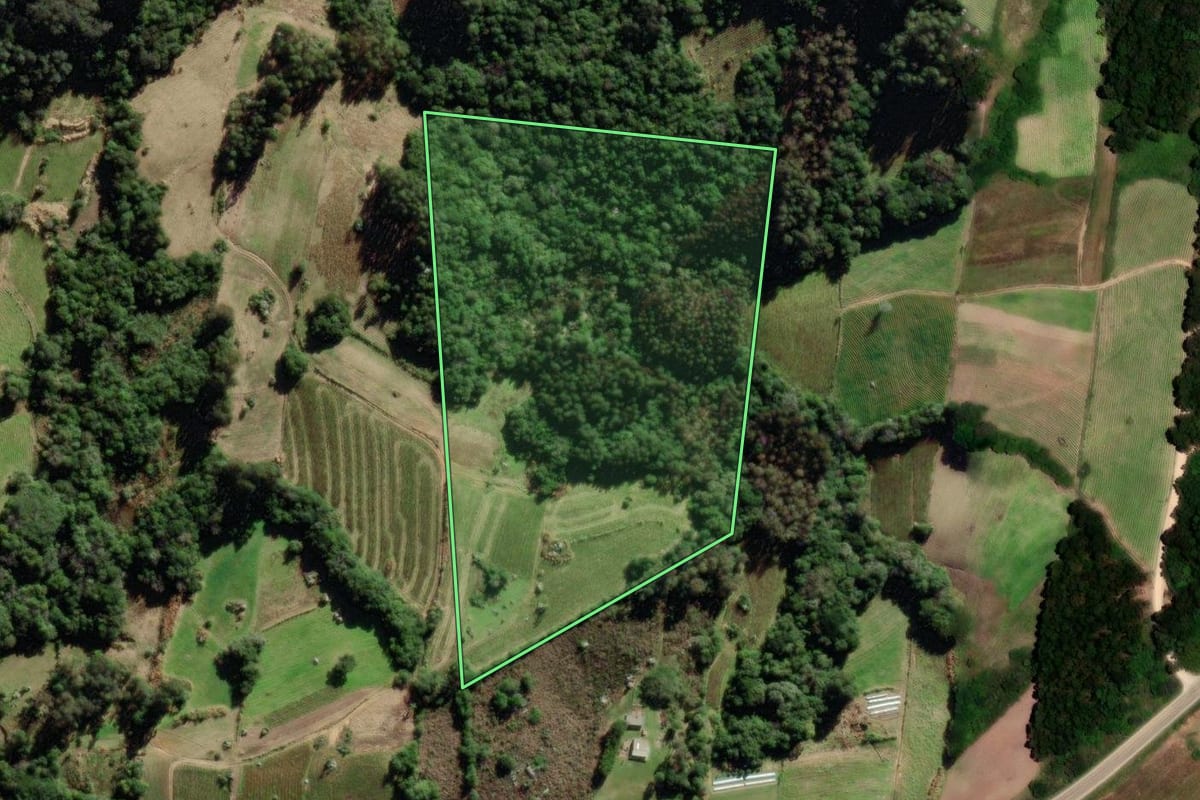 Imagem de satélite do imóvel rural em São Lourenço do Sul (RS), com o contorno declarado no CAR desenhado por cima.