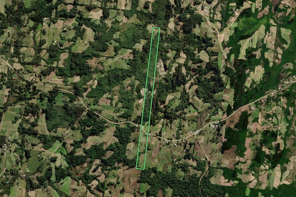 Imagem de satélite do imóvel rural em São Lourenço do Sul (RS), com o contorno declarado no CAR desenhado por cima.
