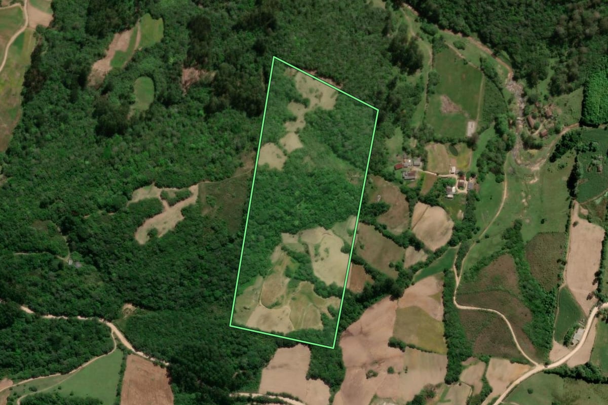 Imagem de satélite do imóvel rural em São Lourenço do Sul (RS), com o contorno declarado no CAR desenhado por cima.