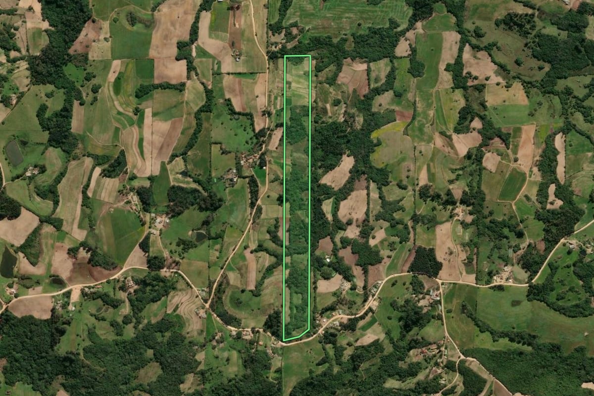 Imagem de satélite do imóvel rural em São Lourenço do Sul (RS), com o contorno declarado no CAR desenhado por cima.