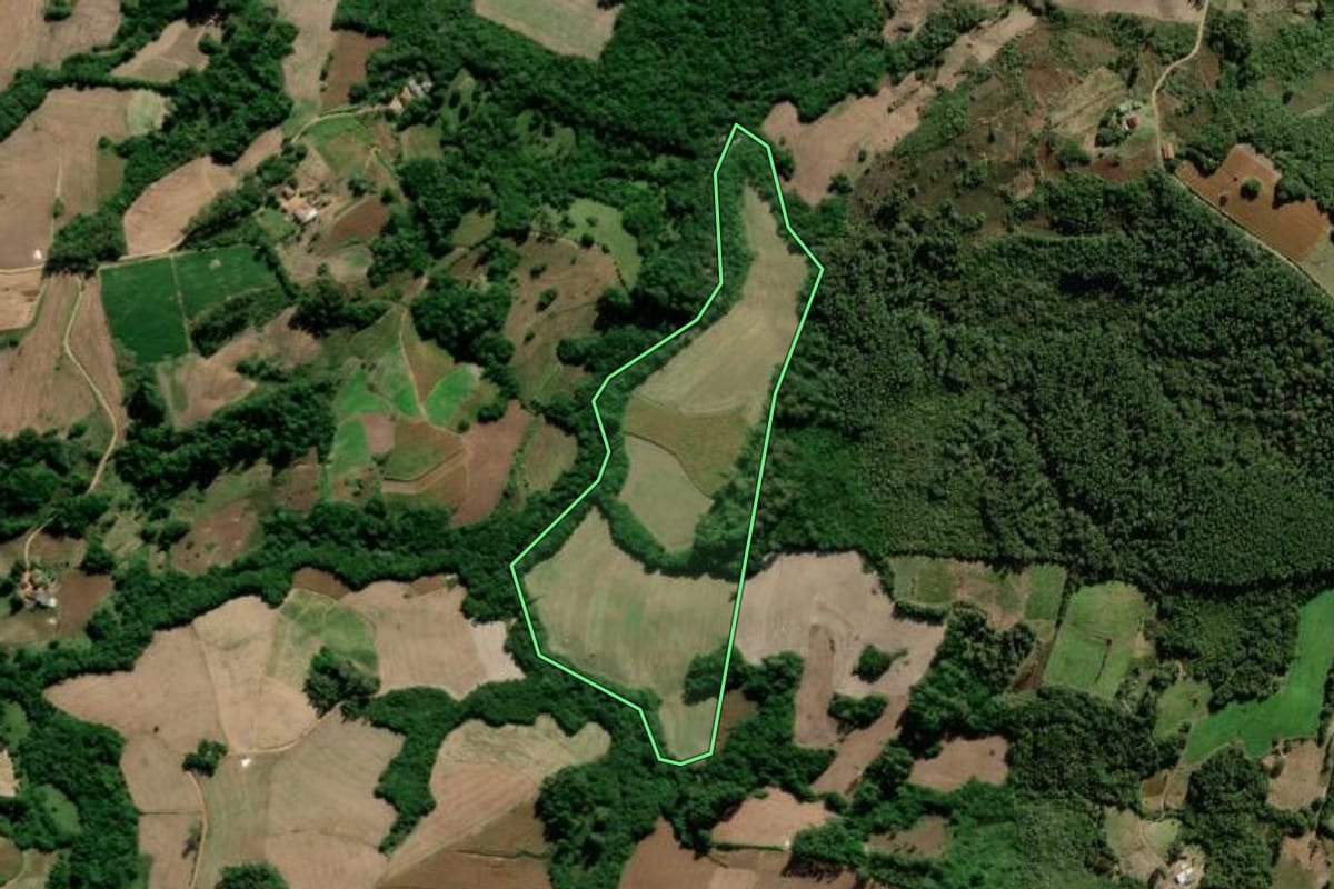 Imagem de satélite do imóvel rural em São Lourenço do Sul (RS), com o contorno declarado no CAR desenhado por cima.