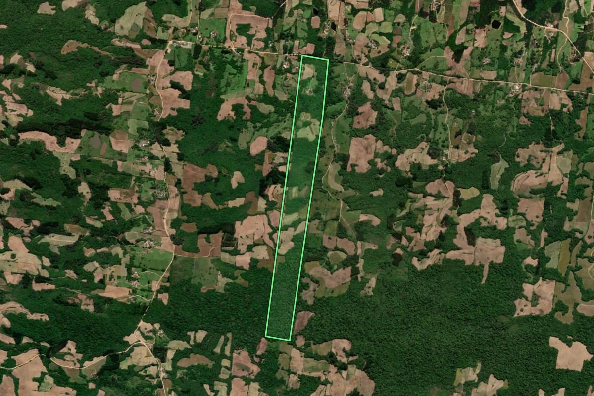 Imagem de satélite do imóvel rural em São Lourenço do Sul (RS), com o contorno declarado no CAR desenhado por cima.