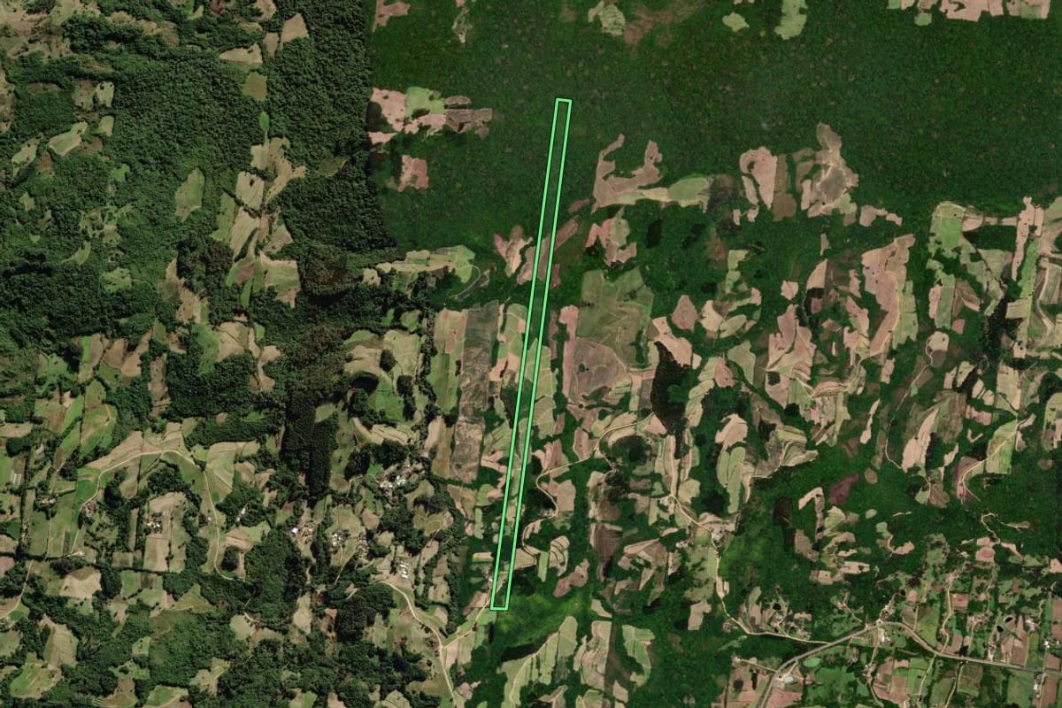 Imagem de satélite do imóvel rural em São Lourenço do Sul (RS), com o contorno declarado no CAR desenhado por cima.