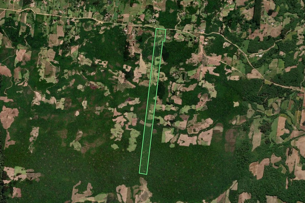 Imagem de satélite do imóvel rural em São Lourenço do Sul (RS), com o contorno declarado no CAR desenhado por cima.