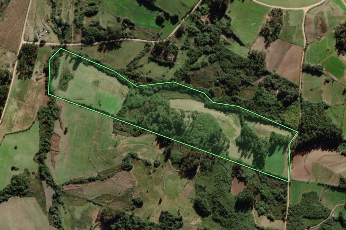 Imagem de satélite do imóvel rural em São Lourenço do Sul (RS), com o contorno declarado no CAR desenhado por cima.