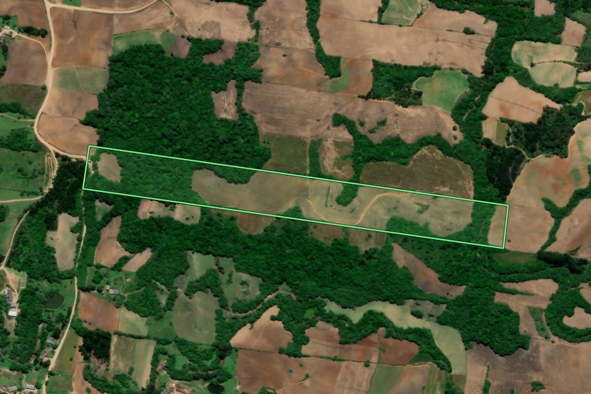 Imagem de satélite do imóvel rural em São Lourenço do Sul (RS), com o contorno declarado no CAR desenhado por cima.