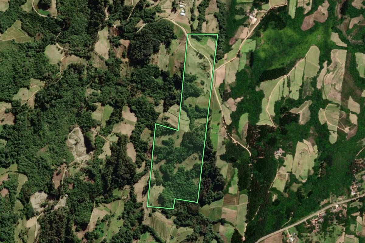 Imagem de satélite do imóvel rural em São Lourenço do Sul (RS), com o contorno declarado no CAR desenhado por cima.