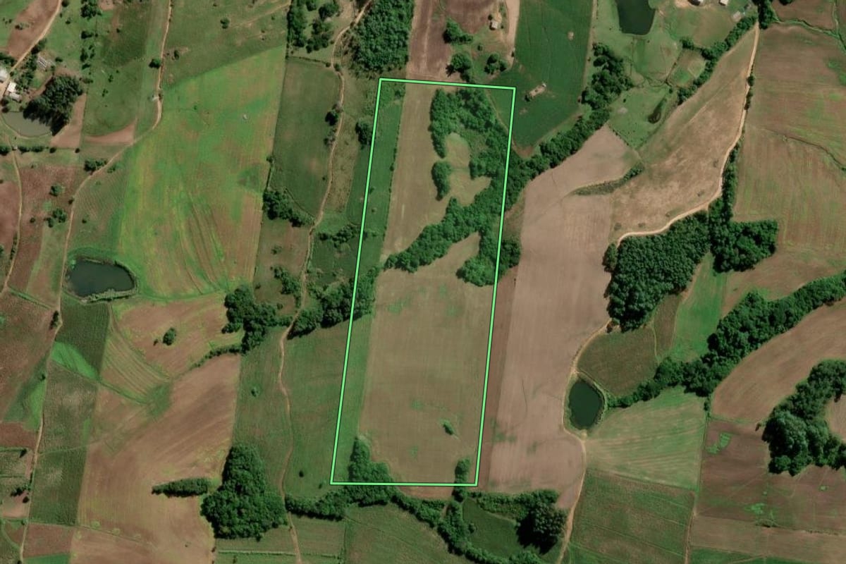 Imagem de satélite do imóvel rural em São Lourenço do Sul (RS), com o contorno declarado no CAR desenhado por cima.