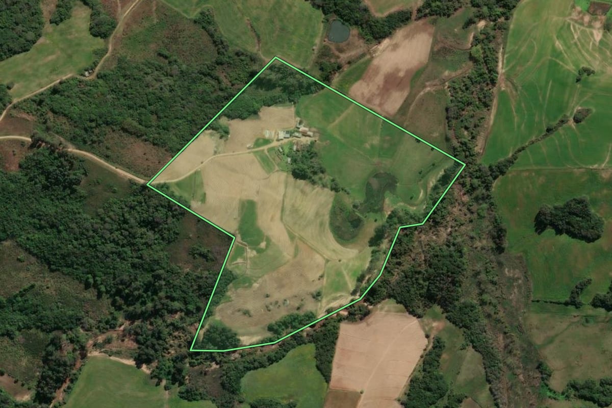 Imagem de satélite do imóvel rural em São Lourenço do Sul (RS), com o contorno declarado no CAR desenhado por cima.