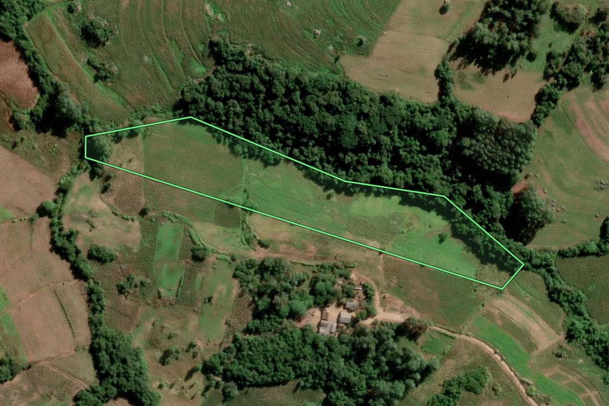 Imagem de satélite do imóvel rural em São Lourenço do Sul (RS), com o contorno declarado no CAR desenhado por cima.