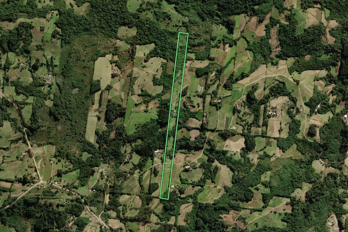 Imagem de satélite do imóvel rural em São Lourenço do Sul (RS), com o contorno declarado no CAR desenhado por cima.