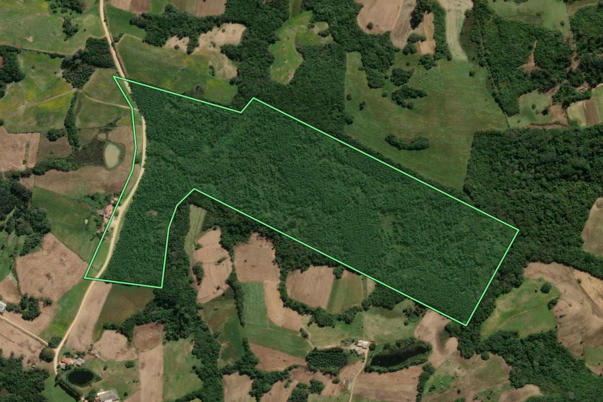 Imagem de satélite do imóvel rural em São Lourenço do Sul (RS), com o contorno declarado no CAR desenhado por cima.