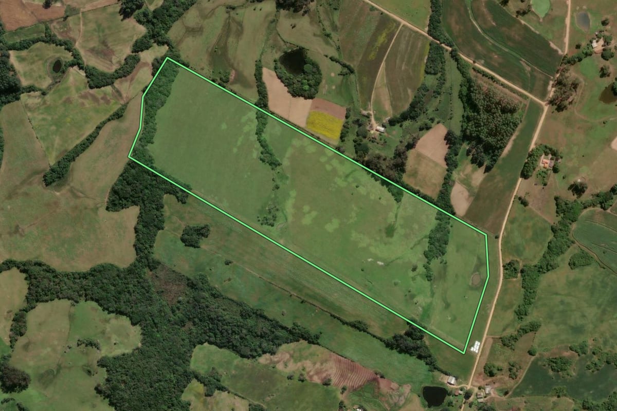 Imagem de satélite do imóvel rural em São Lourenço do Sul (RS), com o contorno declarado no CAR desenhado por cima.