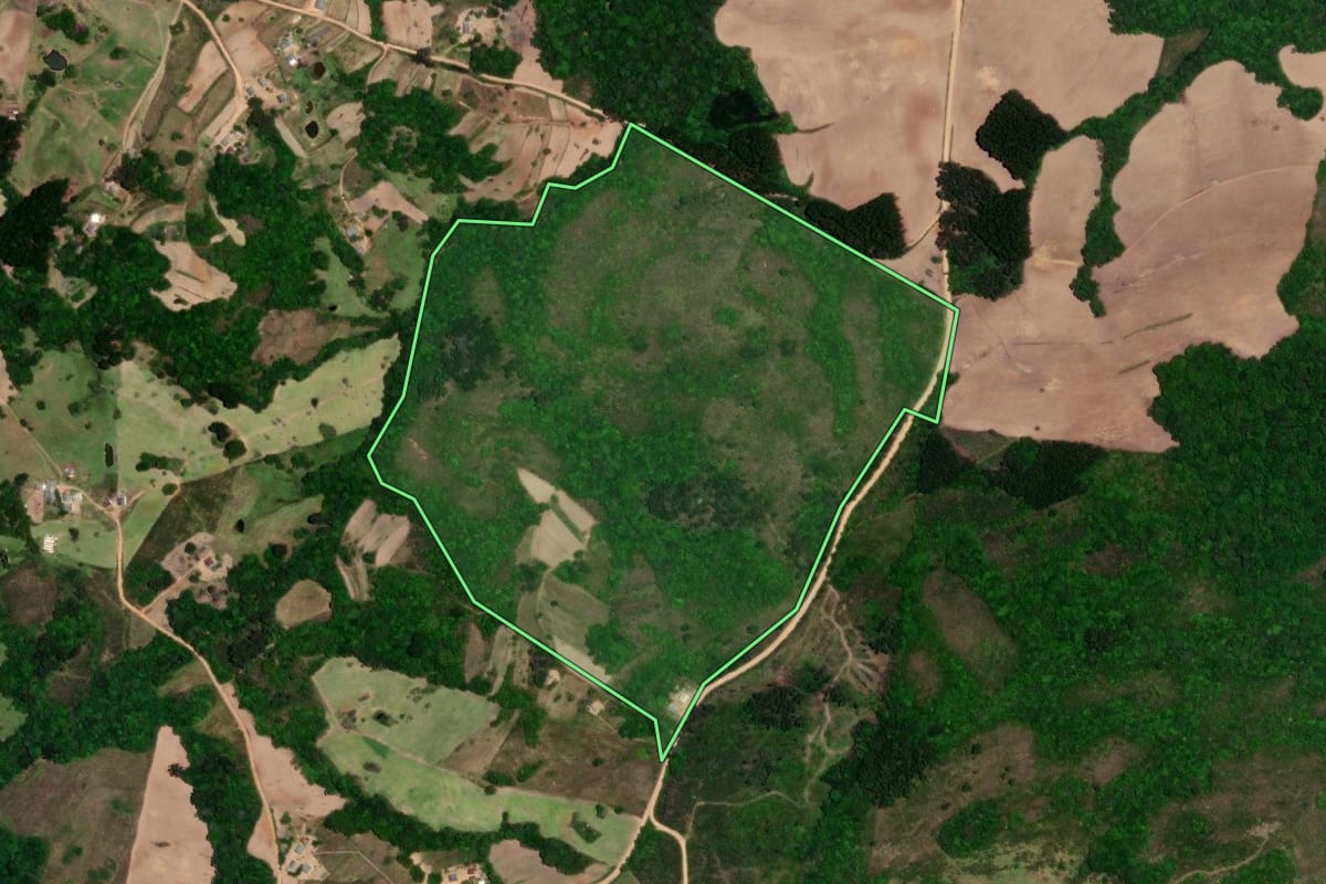 Imagem de satélite do imóvel rural em São Lourenço do Sul (RS), com o contorno declarado no CAR desenhado por cima.