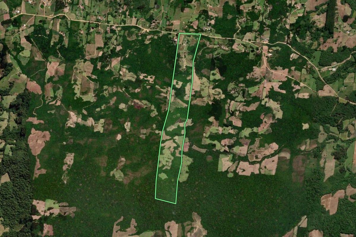 Imagem de satélite do imóvel rural em São Lourenço do Sul (RS), com o contorno declarado no CAR desenhado por cima.