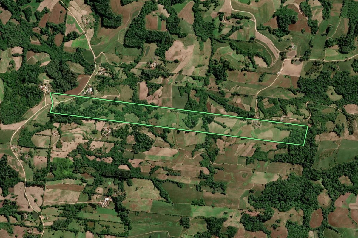 Imagem de satélite do imóvel rural em São Lourenço do Sul (RS), com o contorno declarado no CAR desenhado por cima.